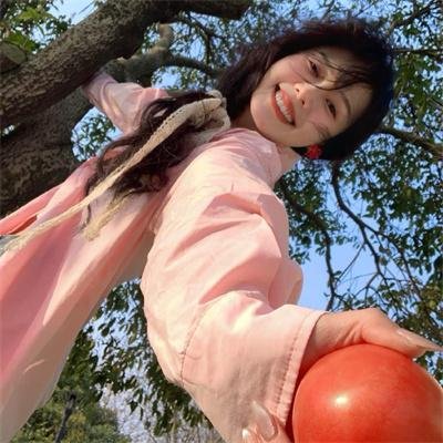 堡垒坚石国语